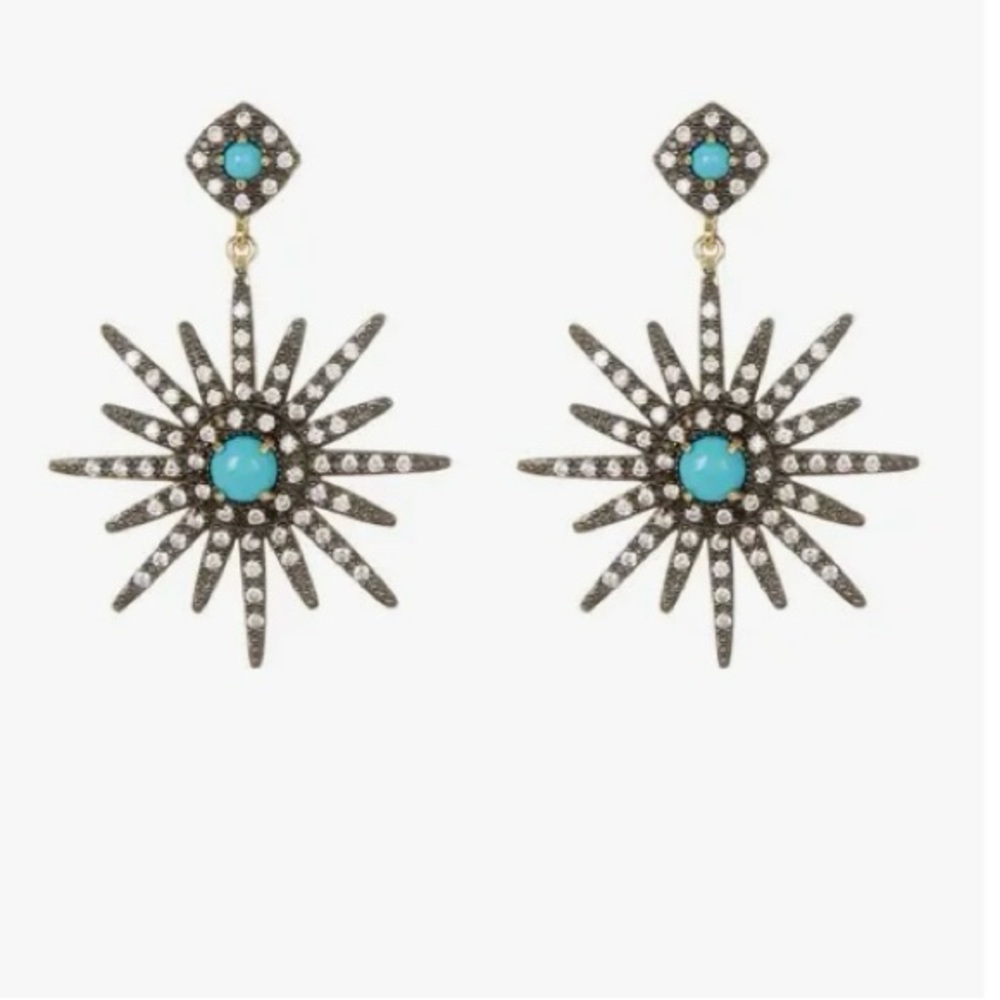 New earrings .